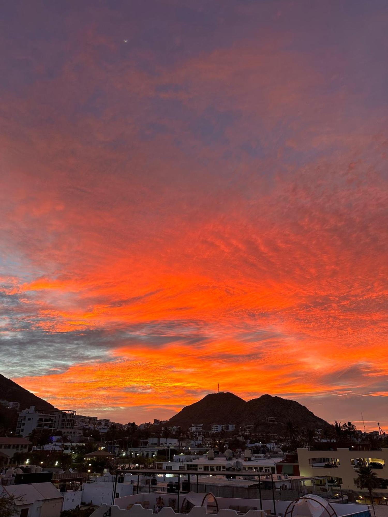Siesta Suites Boutique Hotel Cabo San Lucas Dış mekan fotoğraf