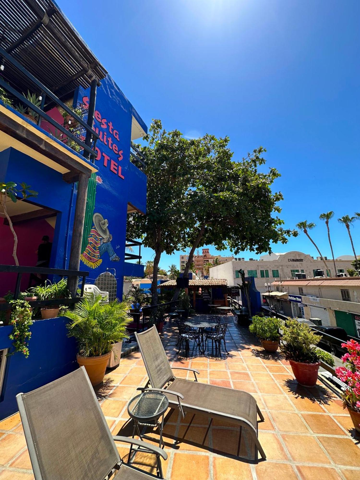 Siesta Suites Boutique Hotel Cabo San Lucas Dış mekan fotoğraf