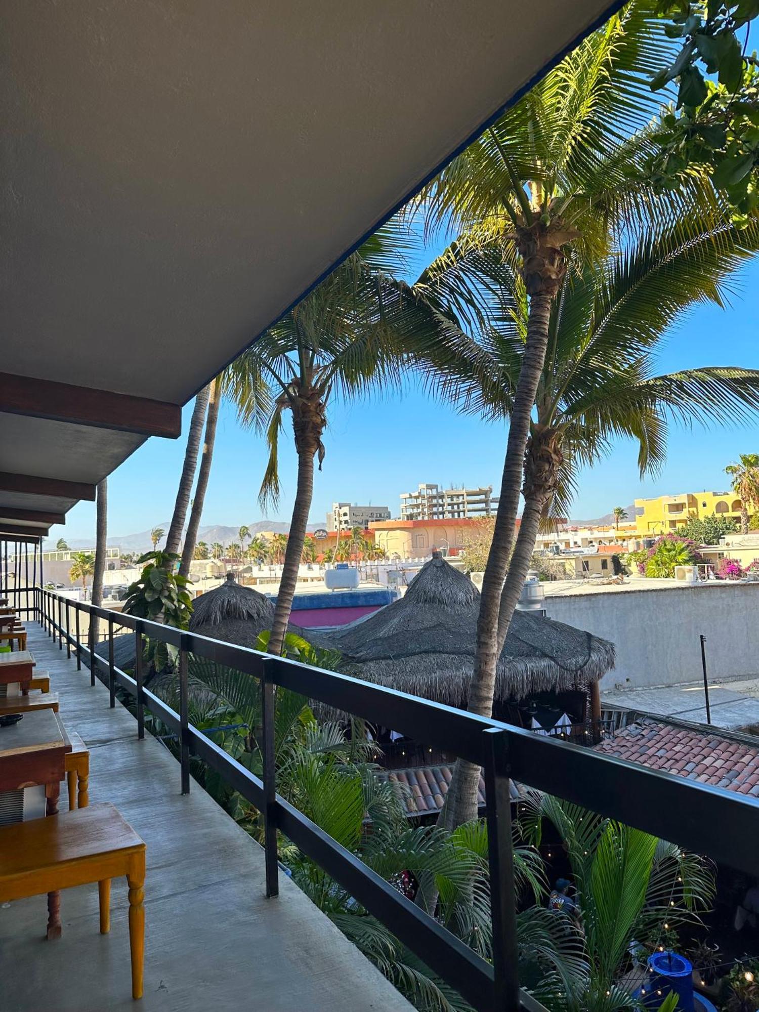 Siesta Suites Boutique Hotel Cabo San Lucas Dış mekan fotoğraf