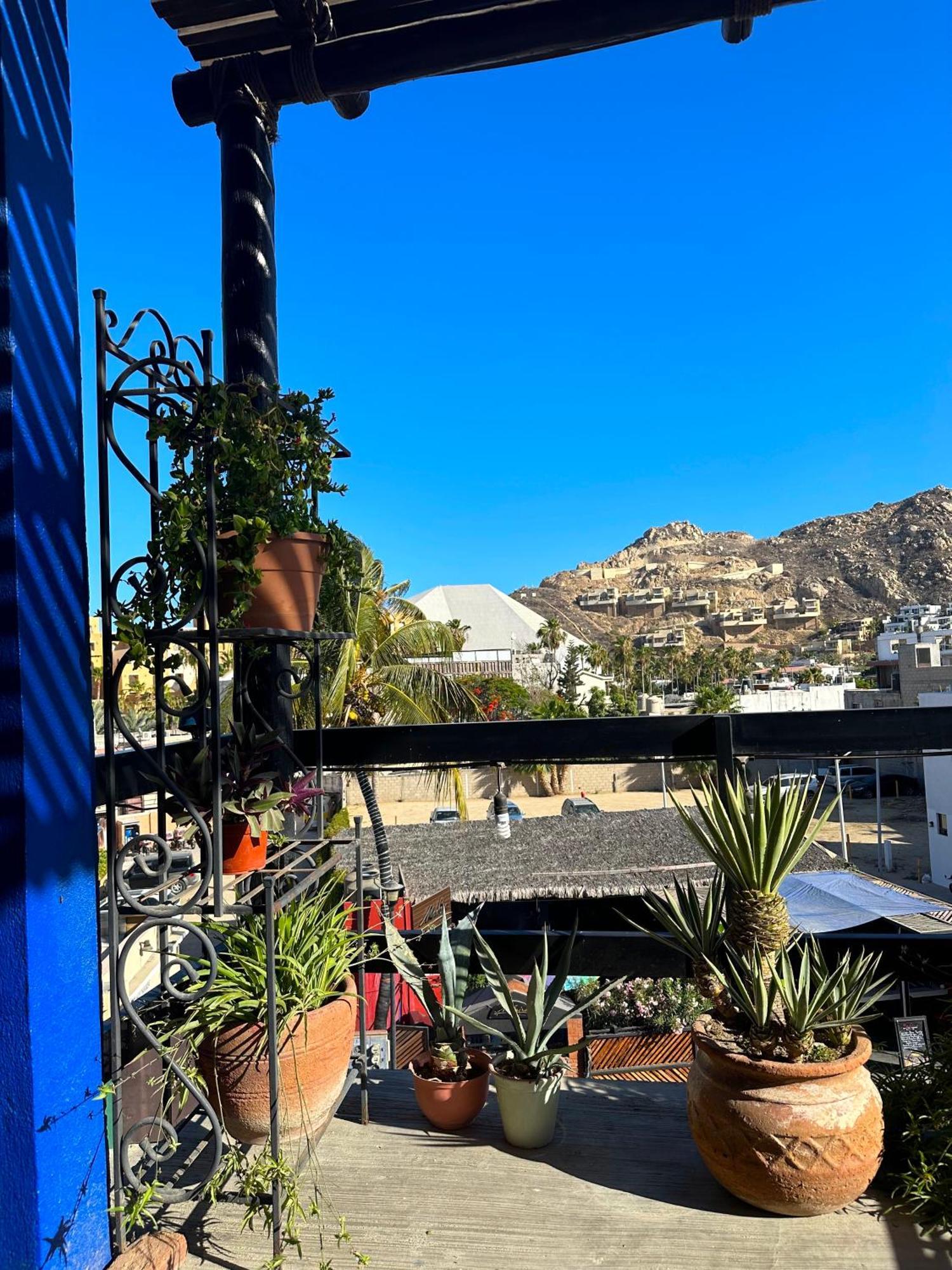 Siesta Suites Boutique Hotel Cabo San Lucas Dış mekan fotoğraf