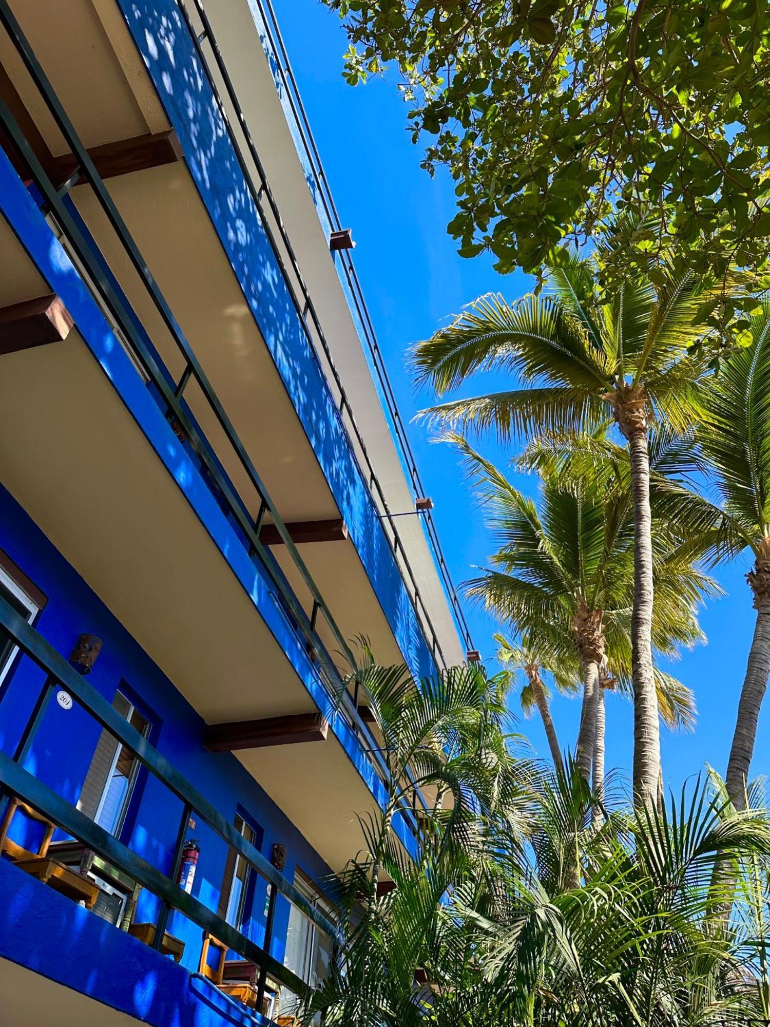 Siesta Suites Boutique Hotel Cabo San Lucas Dış mekan fotoğraf
