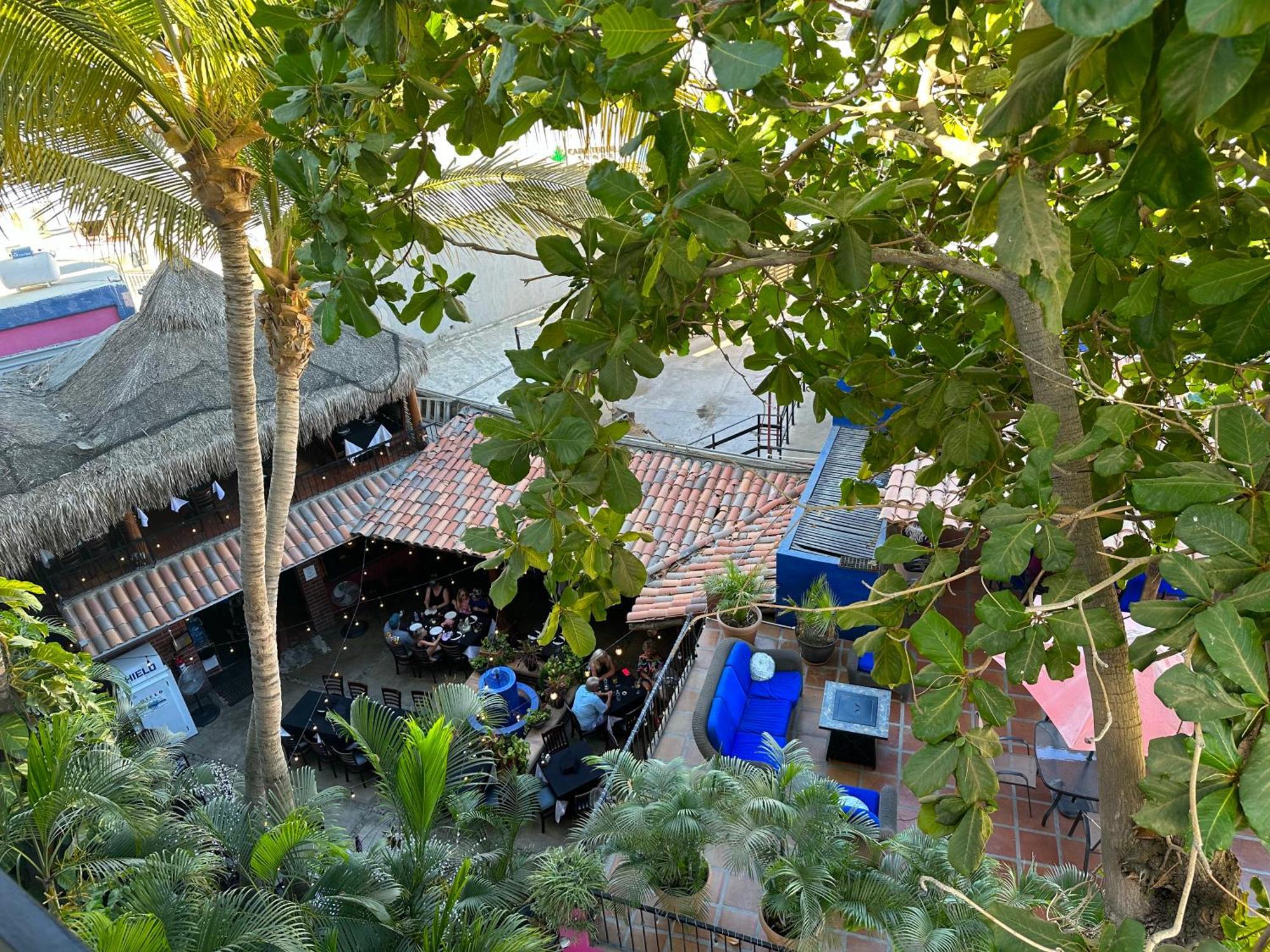 Siesta Suites Boutique Hotel Cabo San Lucas Dış mekan fotoğraf