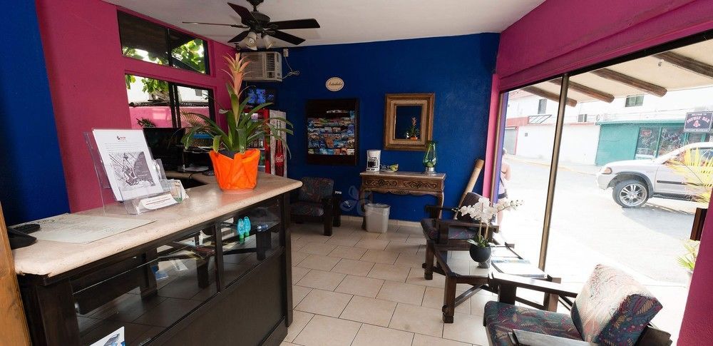 Siesta Suites Boutique Hotel Cabo San Lucas Dış mekan fotoğraf