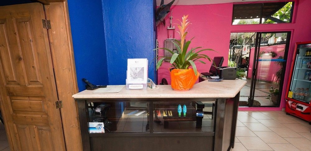 Siesta Suites Boutique Hotel Cabo San Lucas Dış mekan fotoğraf