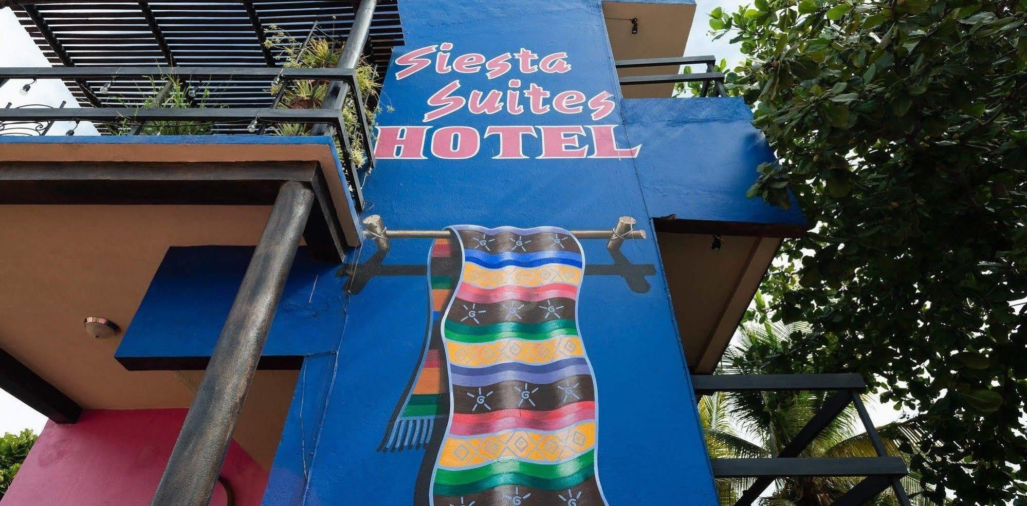 Siesta Suites Boutique Hotel Cabo San Lucas Dış mekan fotoğraf
