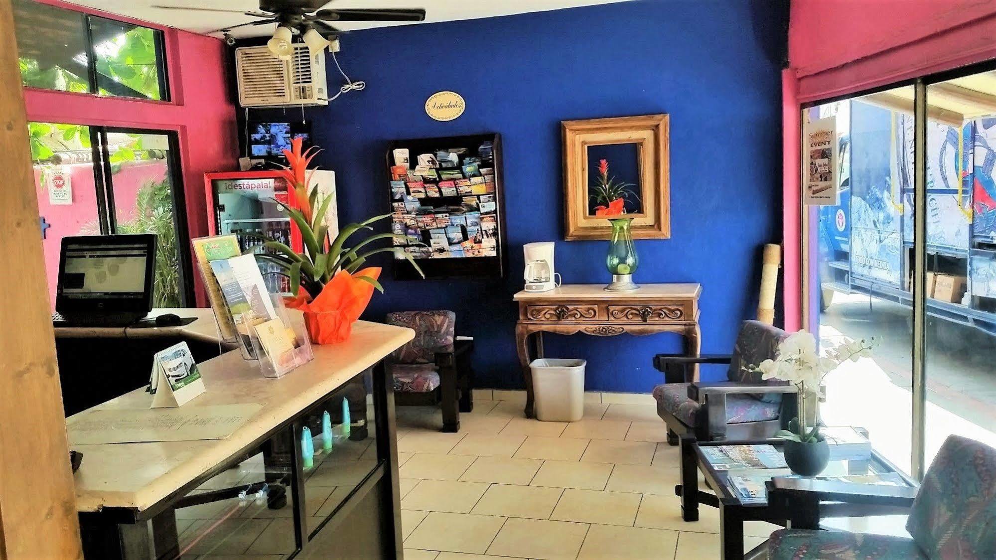 Siesta Suites Boutique Hotel Cabo San Lucas Dış mekan fotoğraf