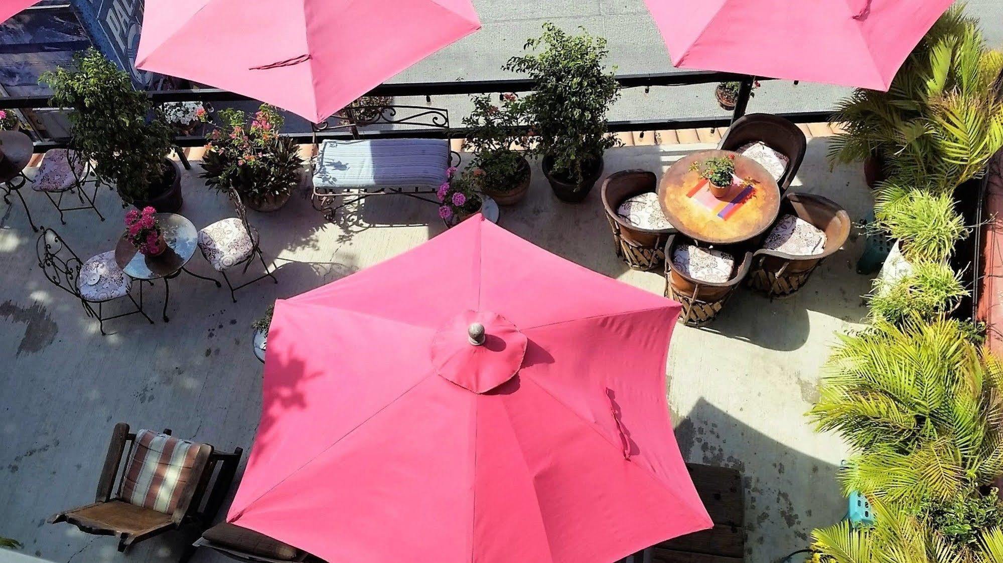 Siesta Suites Boutique Hotel Cabo San Lucas Dış mekan fotoğraf