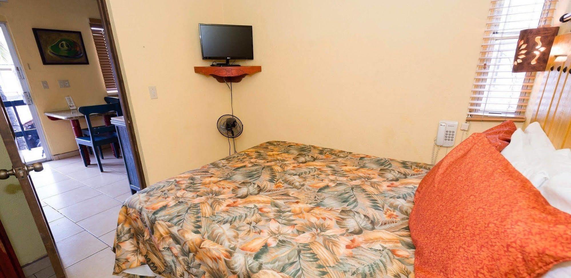 Siesta Suites Boutique Hotel Cabo San Lucas Dış mekan fotoğraf